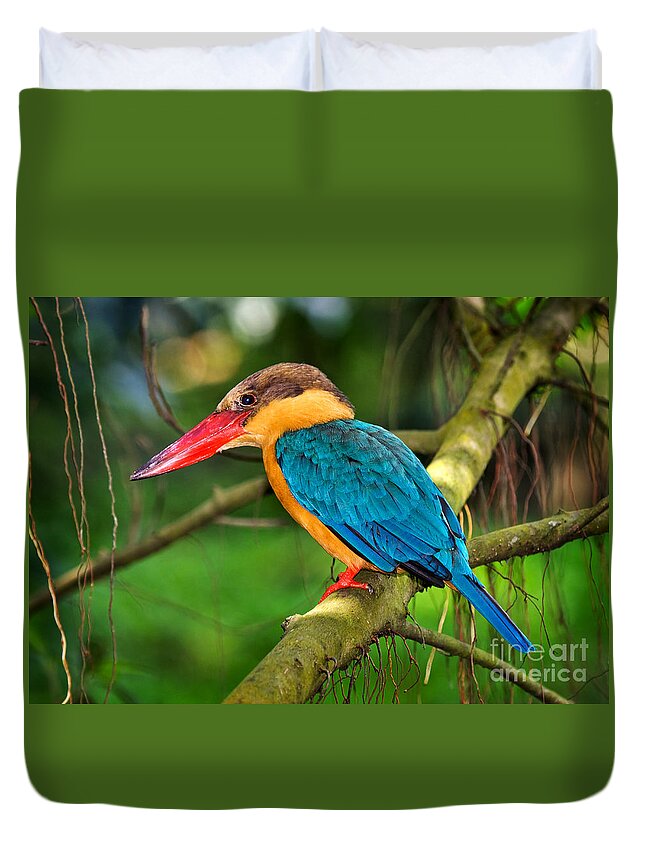 Bird Duvet Cover featuring the photograph Stork-billed kingfisher by Louise Heusinkveld