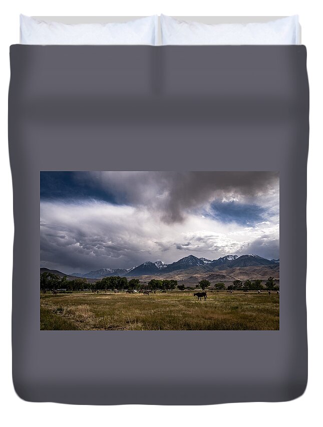 California Duvet Cover featuring the photograph Stormy Day in Big Pine by Cat Connor