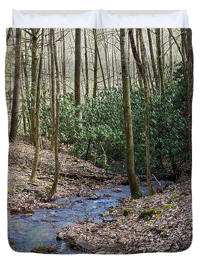 Stream Duvet Cover featuring the photograph Stream in the Winter Woods by Denise Romano