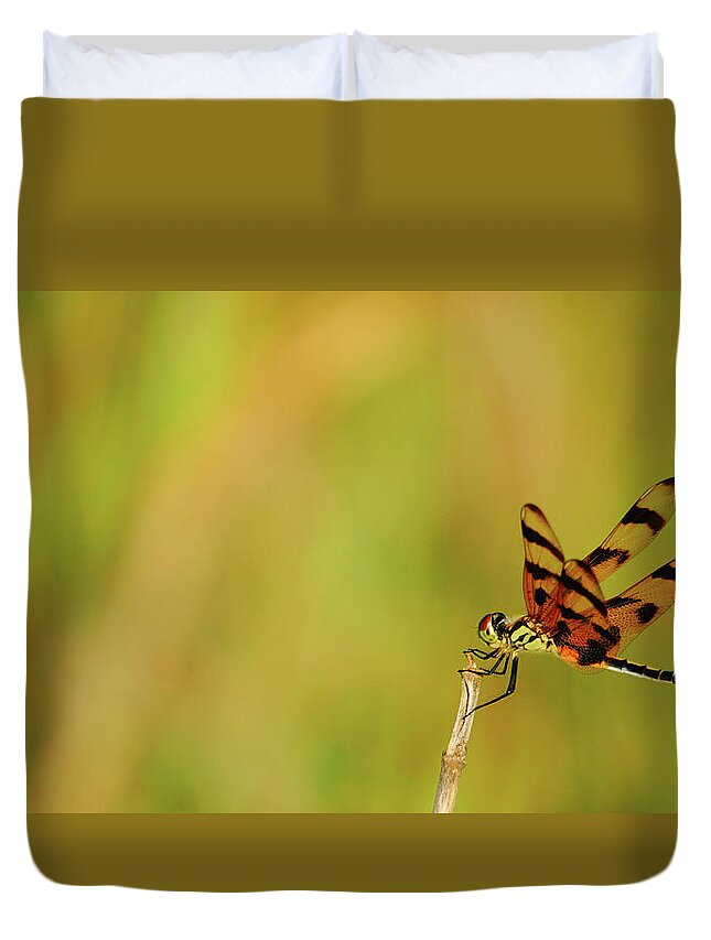Florida Duvet Cover featuring the photograph Striped Dragonfly Delray Beach Florida by Lawrence S Richardson Jr