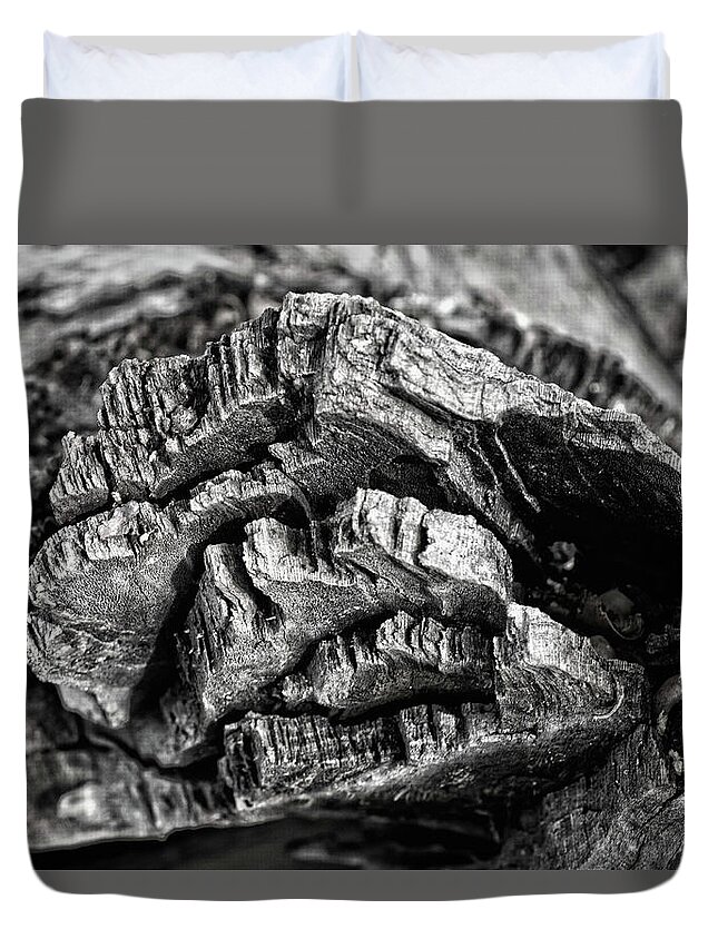 Monochrome Duvet Cover featuring the photograph Stump Texture by George Taylor