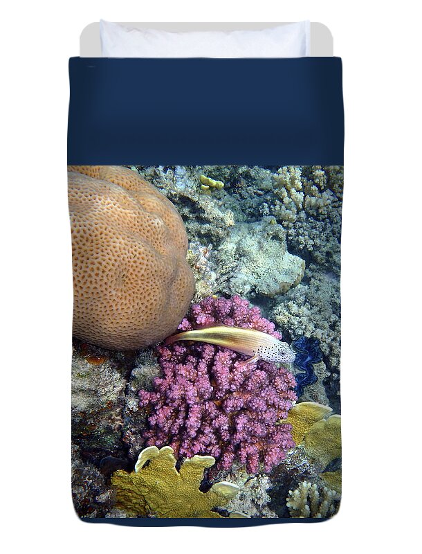 Sea Duvet Cover featuring the photograph Such A Colorful World by Johanna Hurmerinta