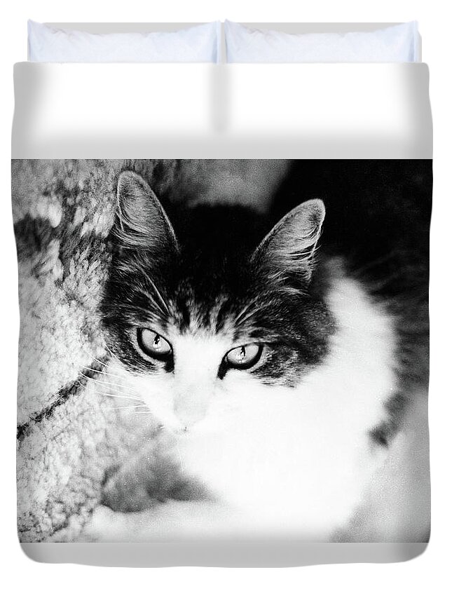 Cat Duvet Cover featuring the photograph Sultry Feline by Geoff Jewett