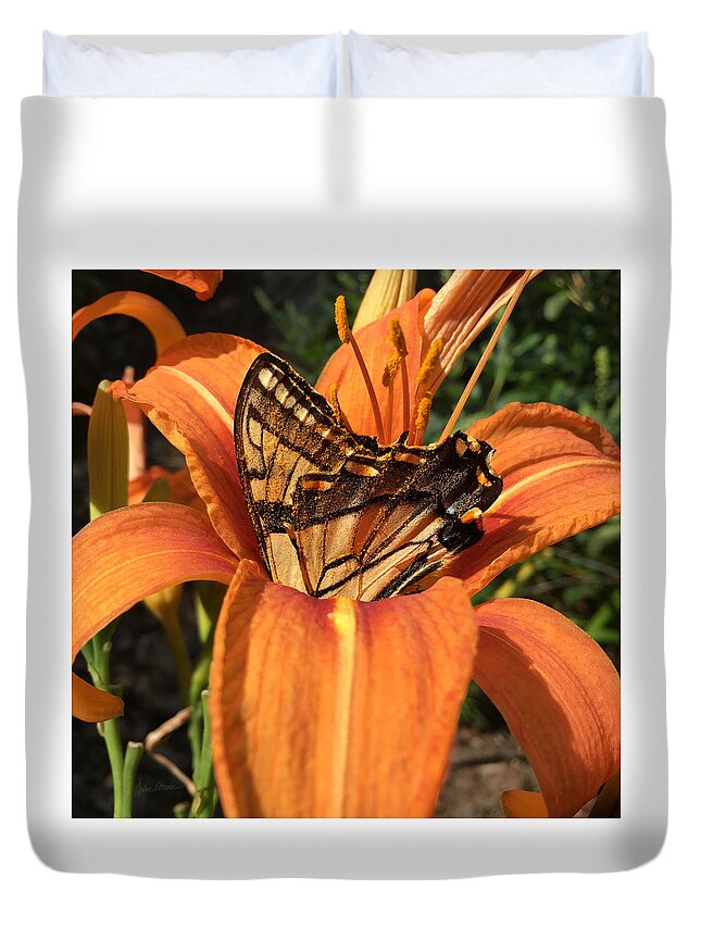 Butterfly Duvet Cover featuring the photograph Summer Beauty by Luke Moore