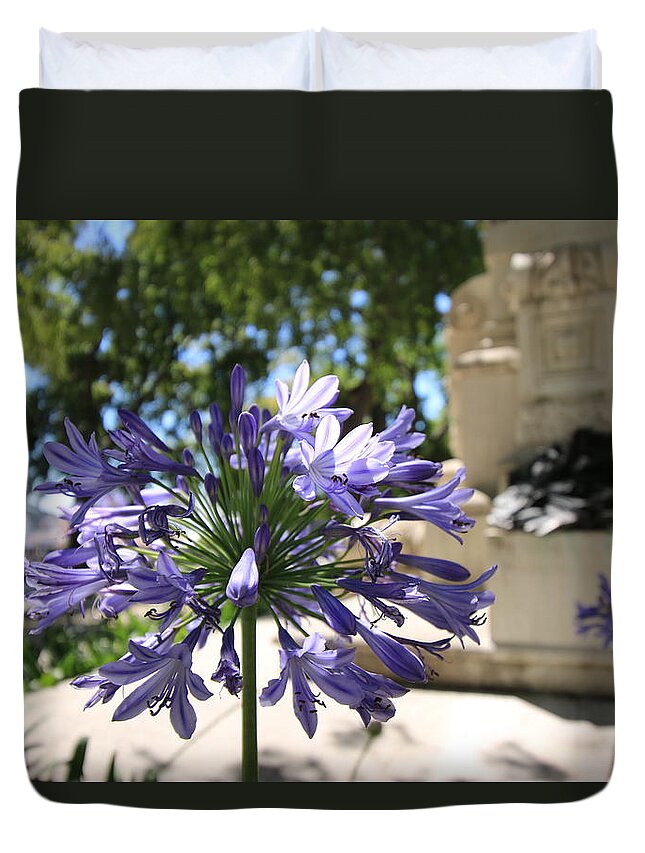 Lisbon Duvet Cover featuring the photograph Summer Blossom by Calvin Roberts Photography