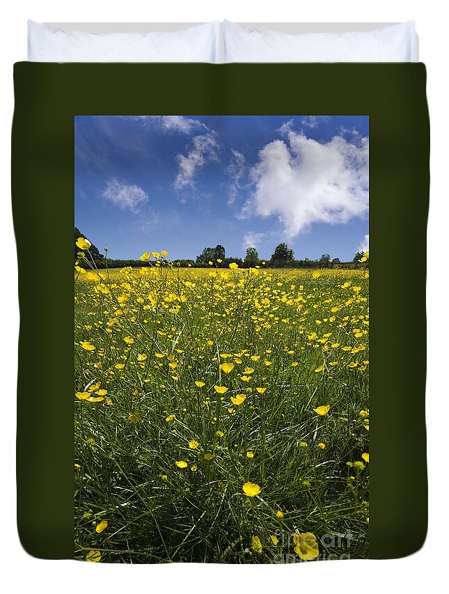 Agriculture Duvet Cover featuring the photograph Summer Buttercups by Meirion Matthias
