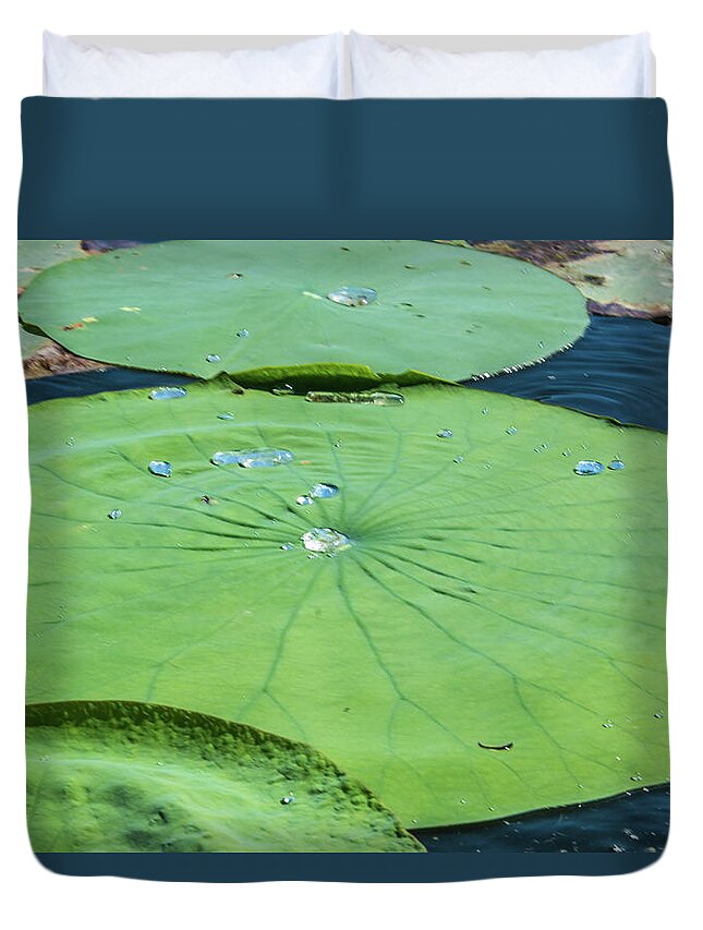 Lily Pad Duvet Cover featuring the photograph Summer Lily Pad II by Pamela Williams