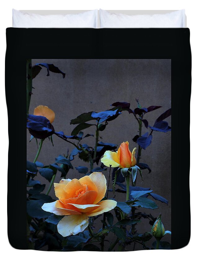 Landscape Duvet Cover featuring the photograph Summer Morning Golden Rose by Richard Thomas