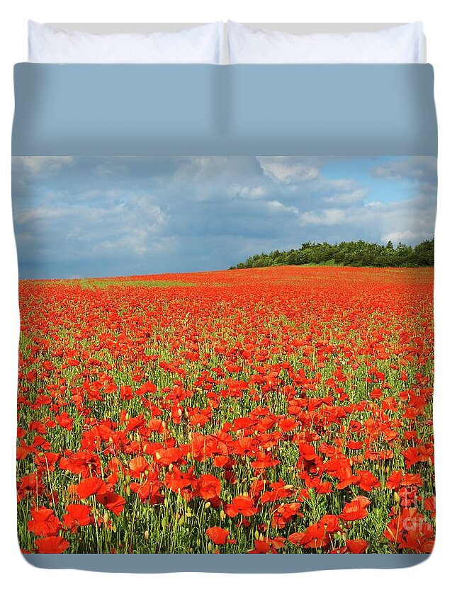 Landscape Duvet Cover featuring the photograph Summer Poppies in England by David Birchall