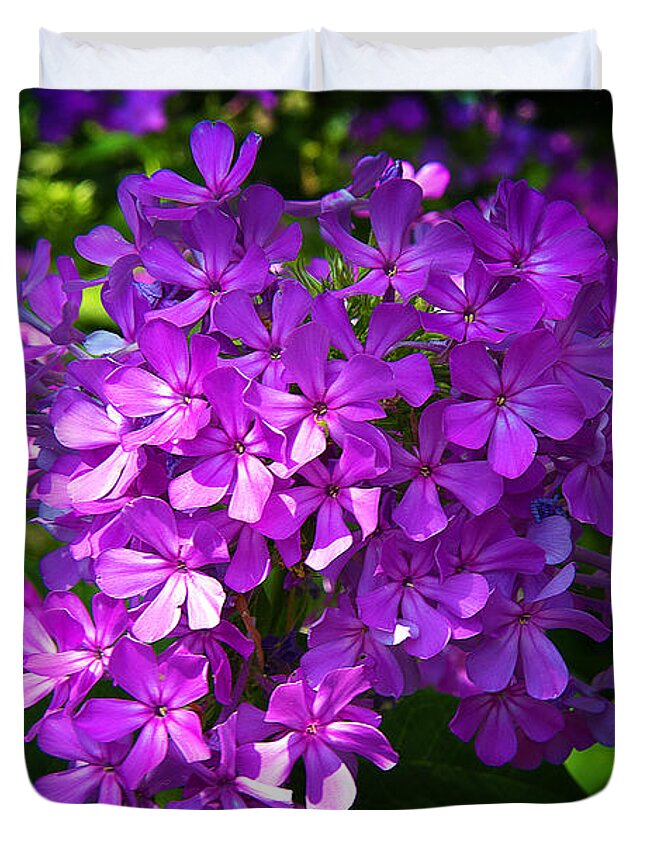 Purple Duvet Cover featuring the photograph Summer Purple by Milena Ilieva