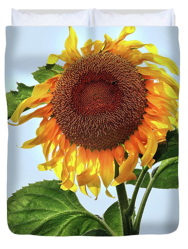 Floral Duvet Cover featuring the photograph Summer sunflower by Mikki Cucuzzo