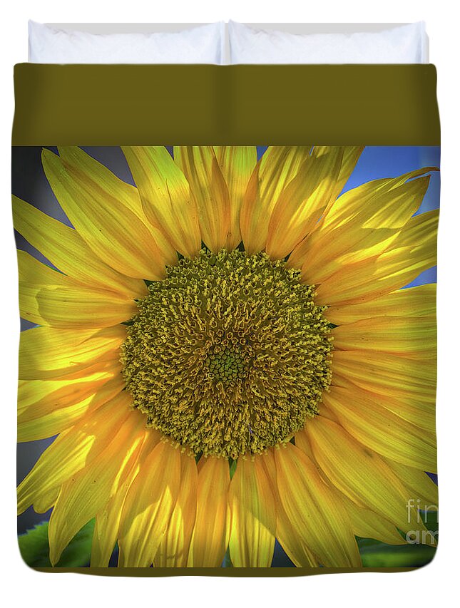 Summer Sunflower Duvet Cover featuring the photograph Summer Sunflower by Mitch Shindelbower