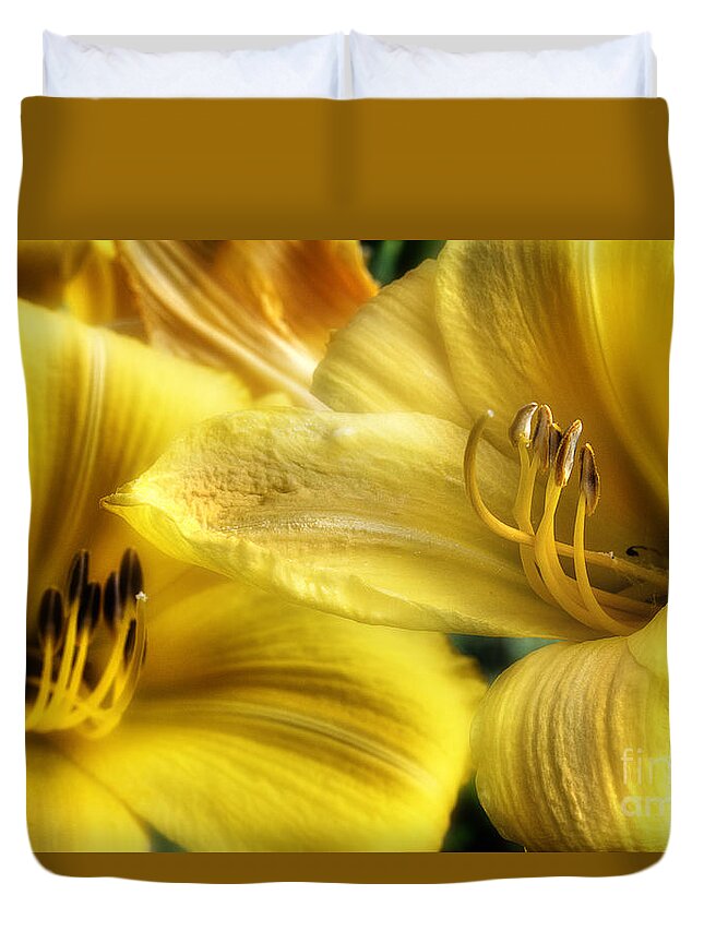 Day Lilies Duvet Cover featuring the photograph Summer's Personality by Michael Eingle