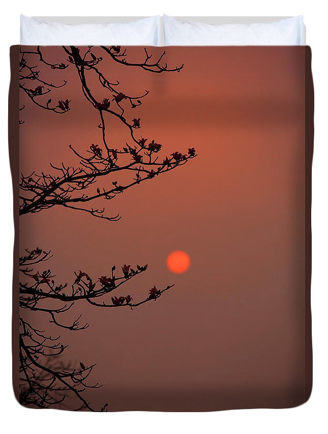 Blossoms Duvet Cover featuring the photograph Sun Blossoms Nature Asia by Chuck Kuhn