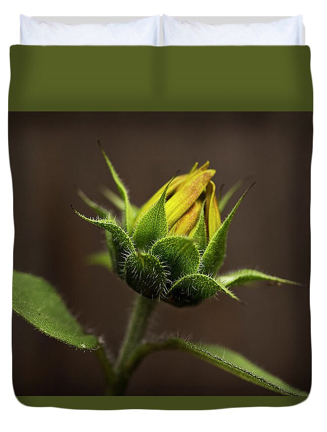 Sun Duvet Cover featuring the photograph Sun Flower Blossom by Morgan Wright