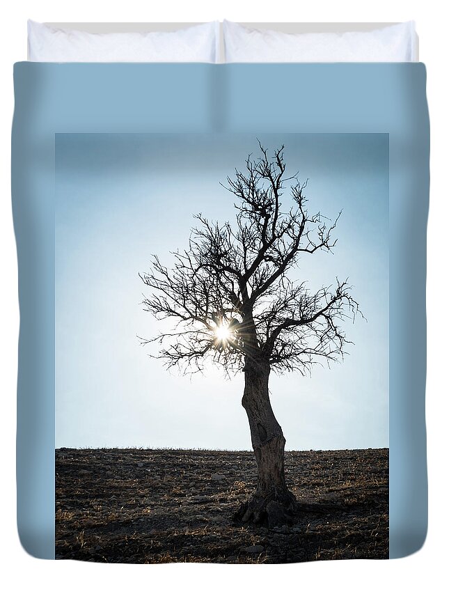 Inspiration Duvet Cover featuring the photograph Sun rays and bare lonely tree by Michalakis Ppalis