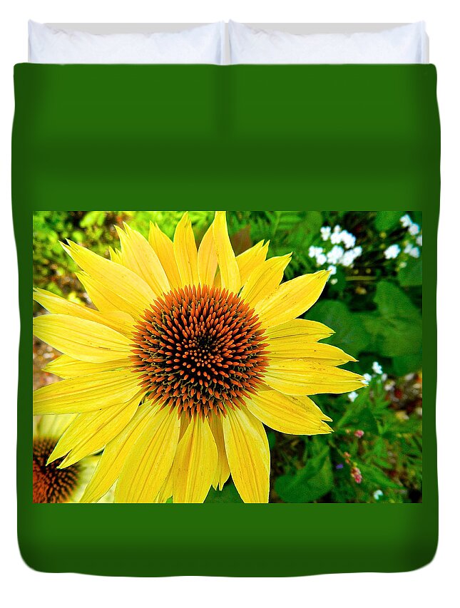 Flowers Duvet Cover featuring the photograph Sun Soaked Echinacea by Randy Rosenberger
