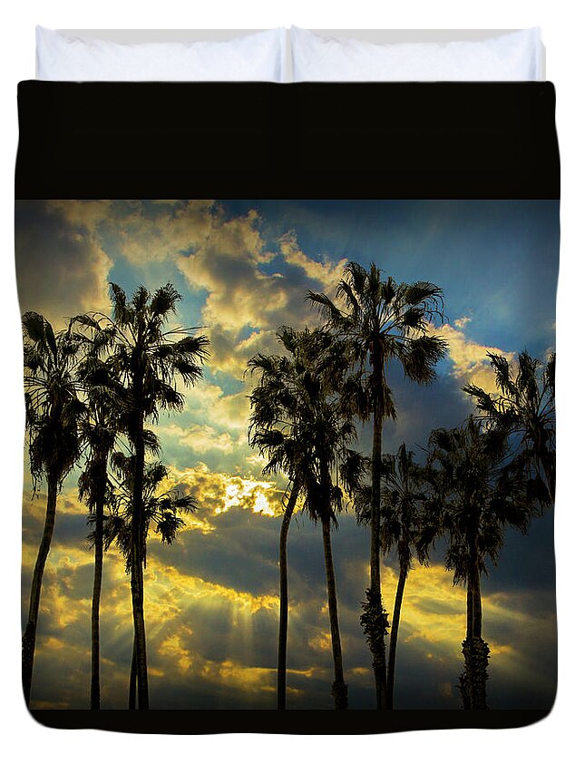 Tree Duvet Cover featuring the photograph Sunbeams and Palm Trees by Cabrillo Beach by Randall Nyhof