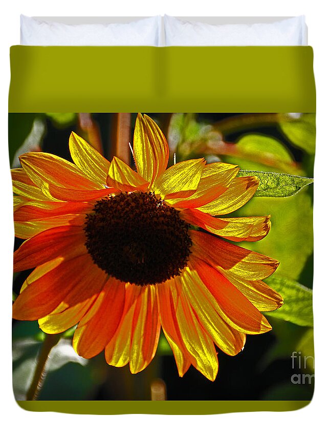 Flower Duvet Cover featuring the photograph Sunflower 1 by David Frederick