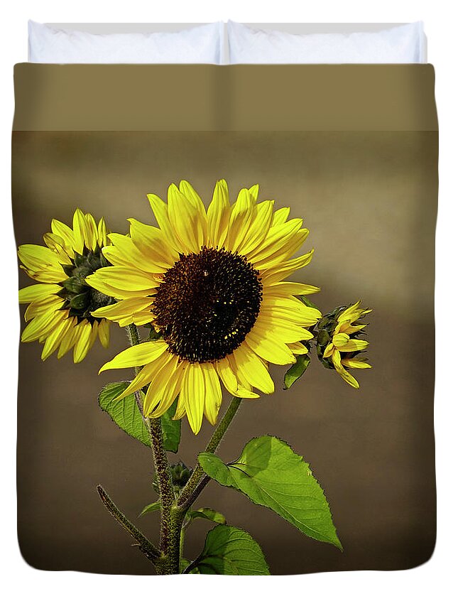 Sunflower Duvet Cover featuring the photograph Sunflower 1 by Inge Riis McDonald