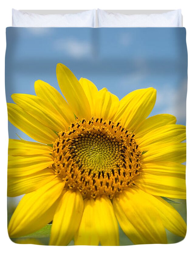 Sunflower Duvet Cover featuring the photograph Sunflower 1 by Stacy Abbott