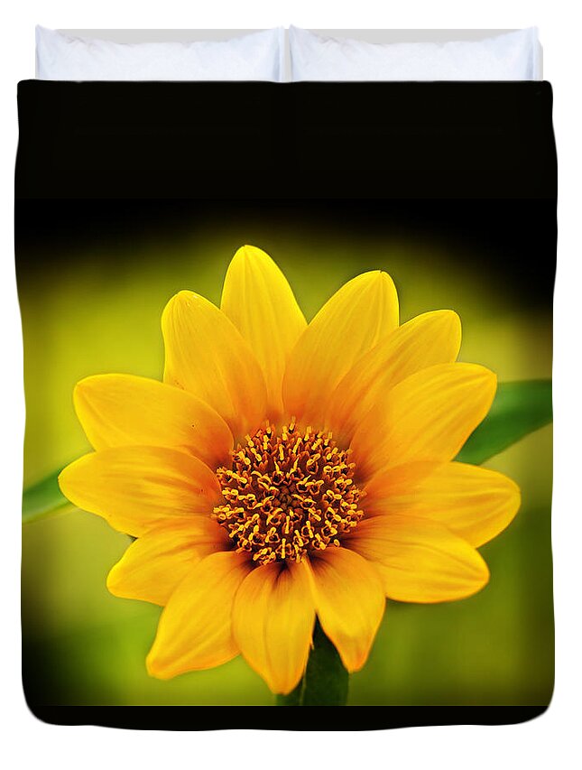 Sunflower Print Duvet Cover featuring the photograph Sunflower Baby Print by Gwen Gibson