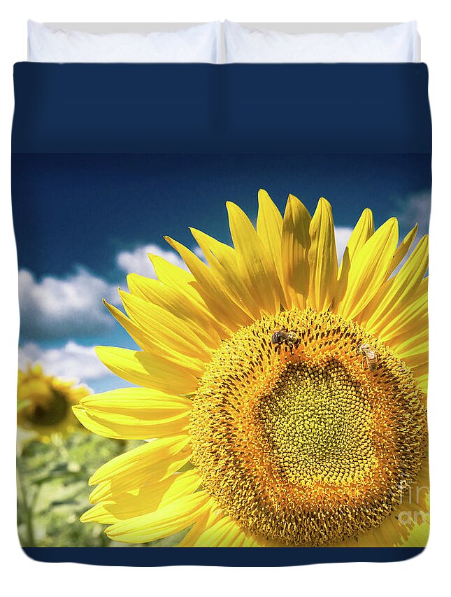 Sunflower Dreams Duvet Cover featuring the photograph Sunflower Dreams by Jim DeLillo