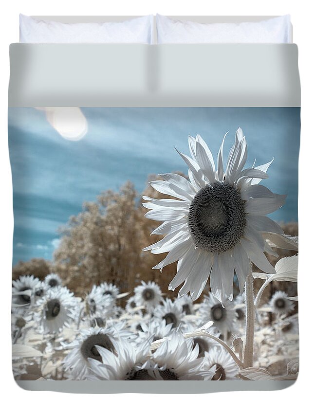 Ir Infra Red Infrared Waelength Outside Outdoors Nature Natural Sky Flower Flowers Botany Sun Sunflower Sunflowers 720nm 720 Nanometers Nanometer Brian Hale Brianhalephoto Farm Duvet Cover featuring the photograph Sunflower Infrared by Brian Hale