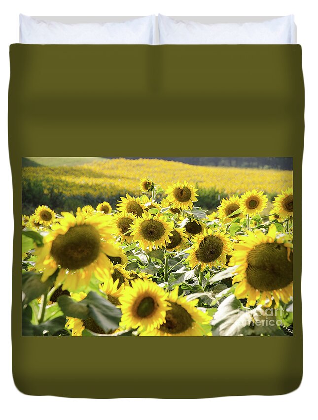 Sunflowers Duvet Cover featuring the photograph Sunflowers 13 by Andrea Anderegg