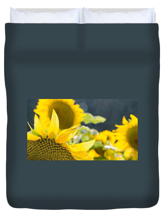 Sunflowers Duvet Cover featuring the photograph Sunflowers 14 by Andrea Anderegg