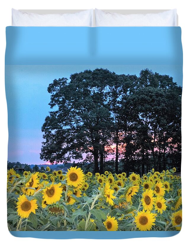 Sunflower Field At Sunset Duvet Cover featuring the photograph Sunflowers at Sunset by Mary Ann Artz