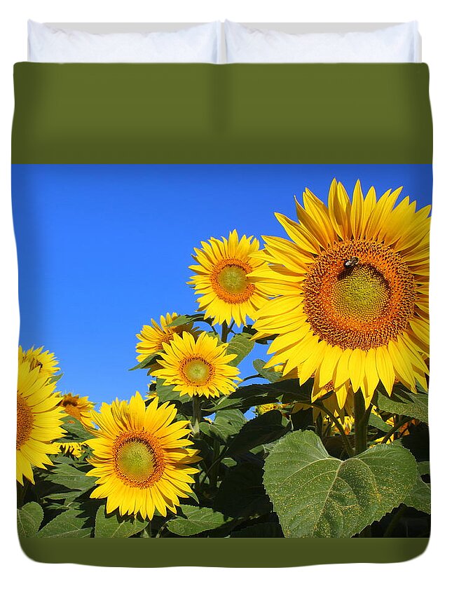 Sunflowers In Blue Duvet Cover featuring the photograph Sunflowers in Blue by Suzanne DeGeorge
