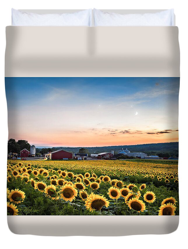 Brodhecker Farm Duvet Cover featuring the photograph Sunflowers, moon and stars by Eduard Moldoveanu