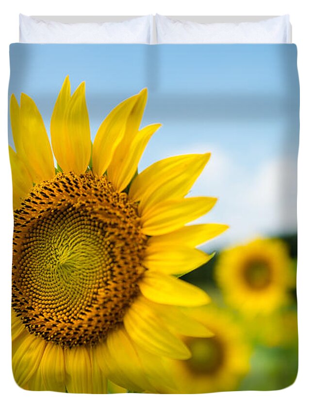 Sunflower Duvet Cover featuring the photograph Sunflowers by Stacy Abbott