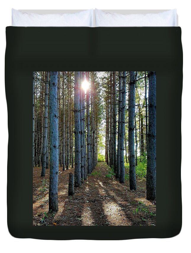 Sunlight Duvet Cover featuring the photograph Sunlight Through the Forest Trees by Vic Ritchey