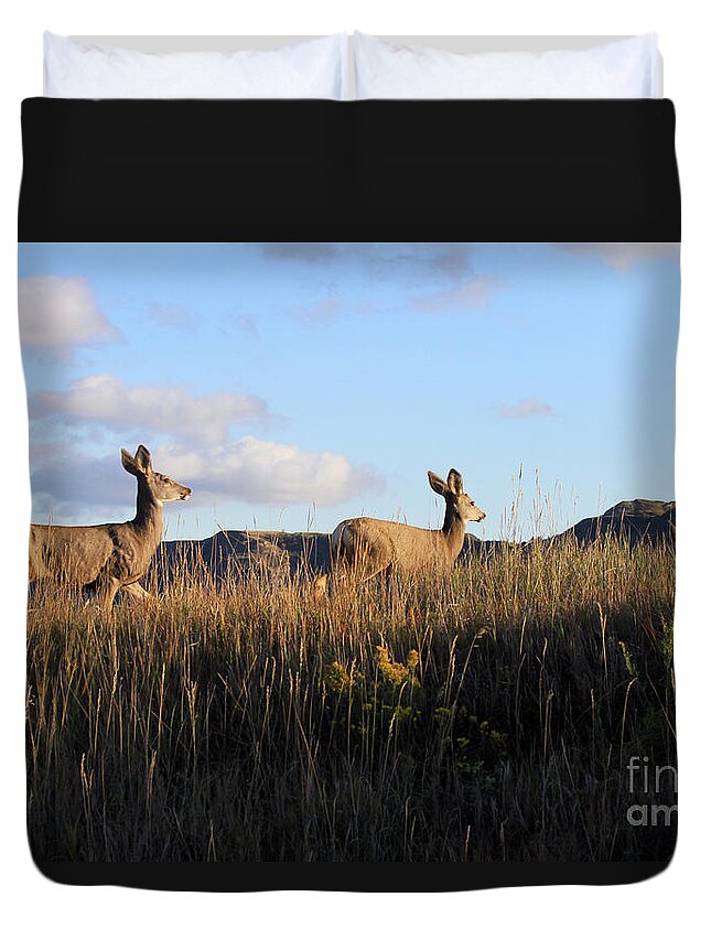 Mule Deer Duvet Cover featuring the photograph Sunlit Deer by Paula Guttilla