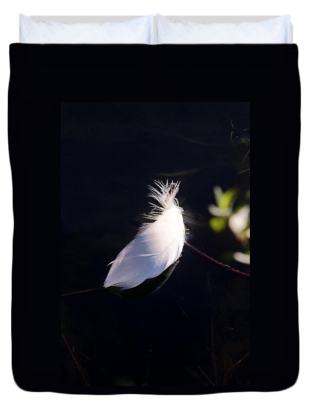 Karen Silvestri Duvet Cover featuring the photograph Sunlit Feather by Karen Silvestri