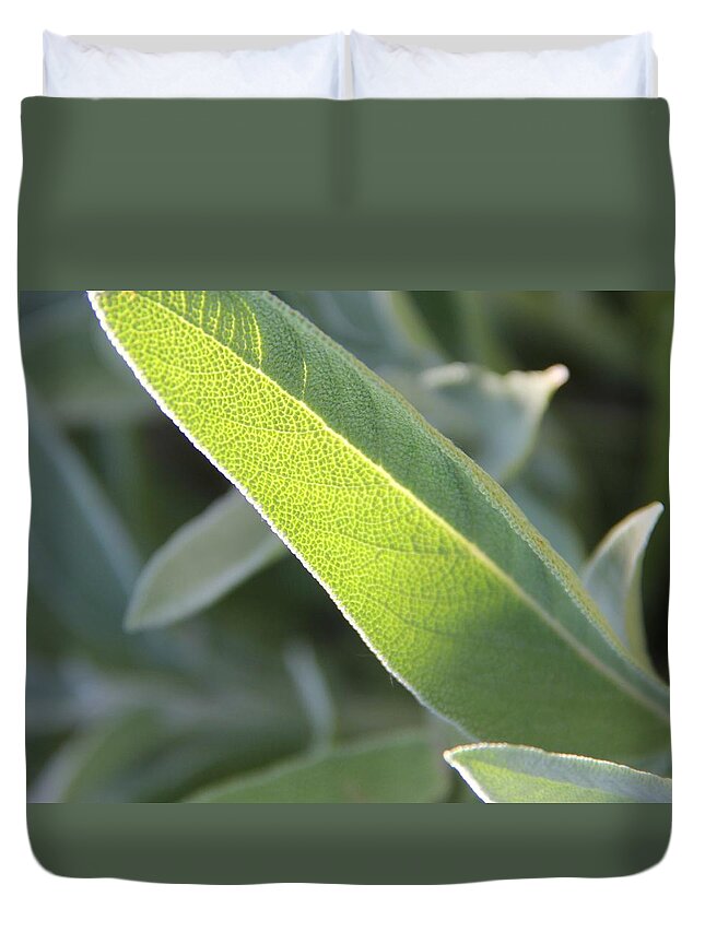 Sunlit Sage Leaf Duvet Cover featuring the photograph Sunlit Sage Leaf by Elizabeth Sullivan