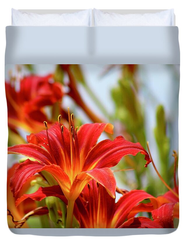 Photograph Duvet Cover featuring the photograph Sunning Red Day Lilies by M E