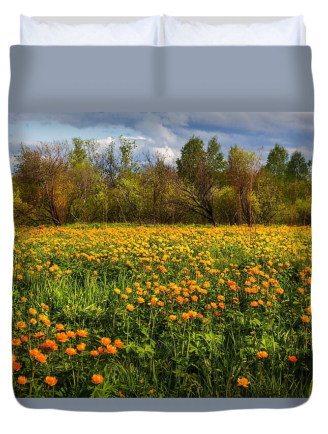 Buttercup Duvet Cover featuring the photograph Sunny Buttercups Field. Altai by Victor Kovchin