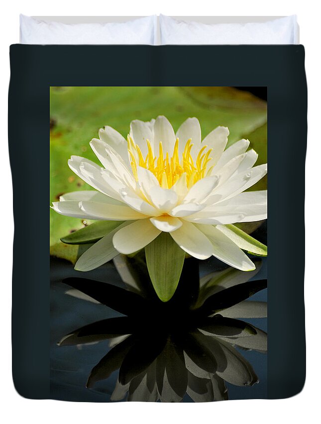 Flower Duvet Cover featuring the photograph Sunny Day by Donna Shahan
