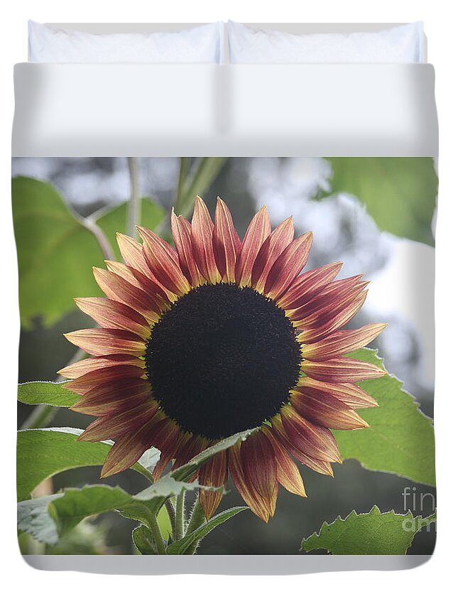 Sunflower Duvet Cover featuring the photograph Sunny Face by Wendy Coulson