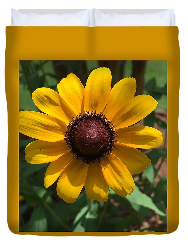 Sunflower Duvet Cover featuring the photograph Sunny by Pamela Henry