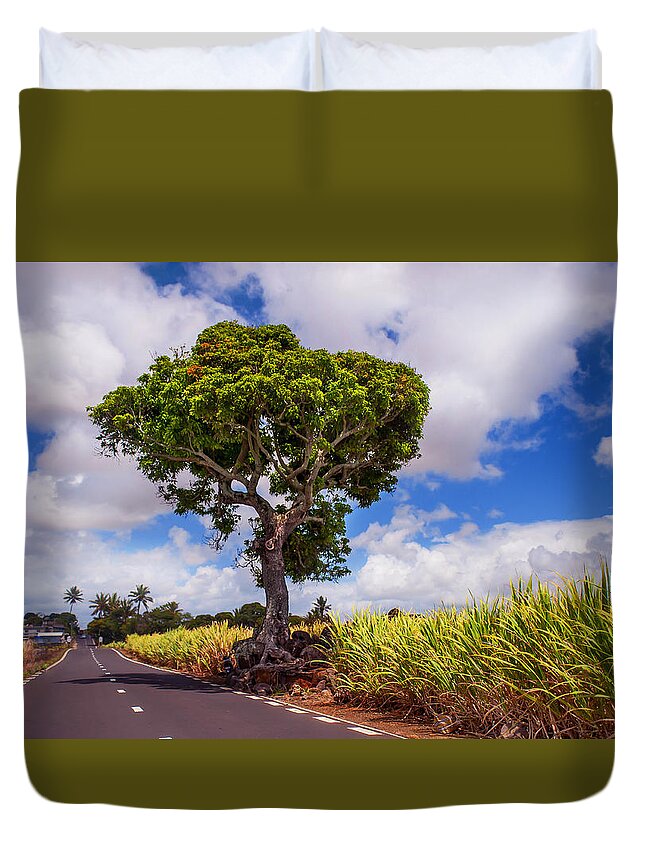 Jenny Rainbow Fine Art Photography Duvet Cover featuring the photograph Sunny Road in Mauritius by Jenny Rainbow