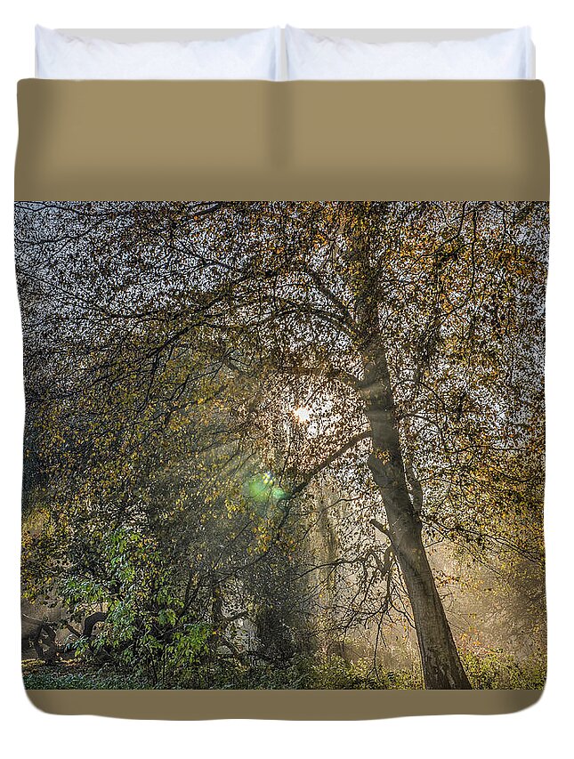 Forest Duvet Cover featuring the photograph Sunrays Through Autumn Trees by Frans Blok