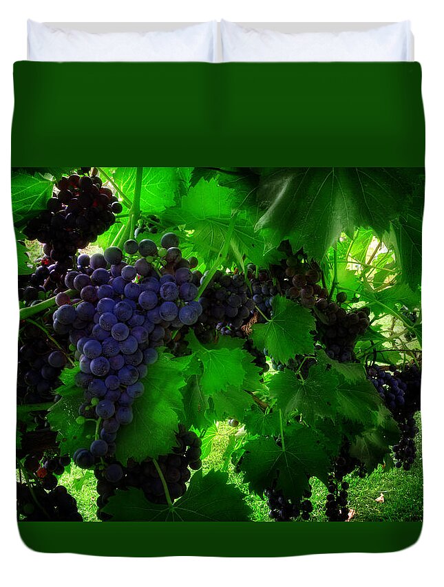 Grapes Duvet Cover featuring the photograph Sunrise In The Vineyard by Greg and Chrystal Mimbs