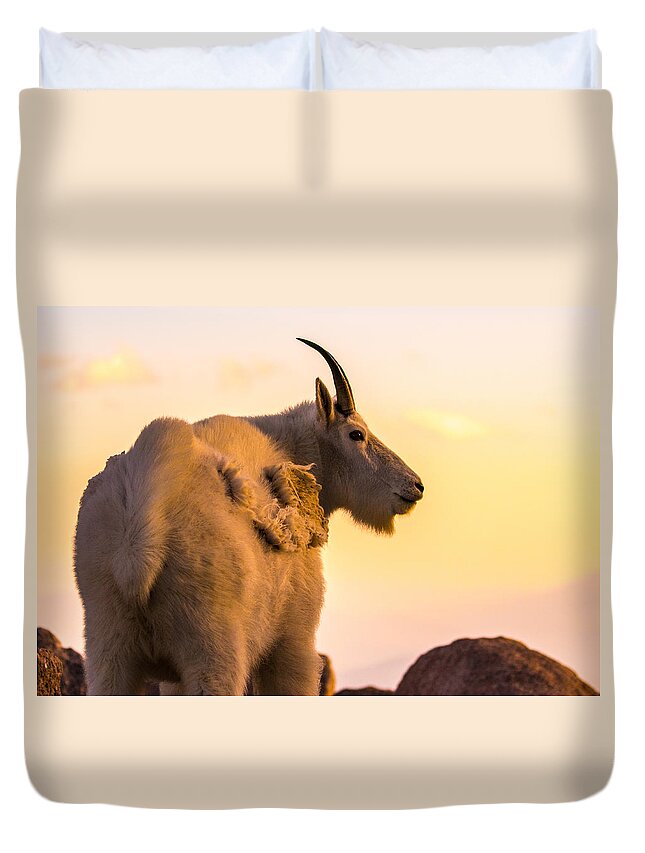 Mountain Goat Duvet Cover featuring the photograph Sunrise on the Mountain #1 by Mindy Musick King