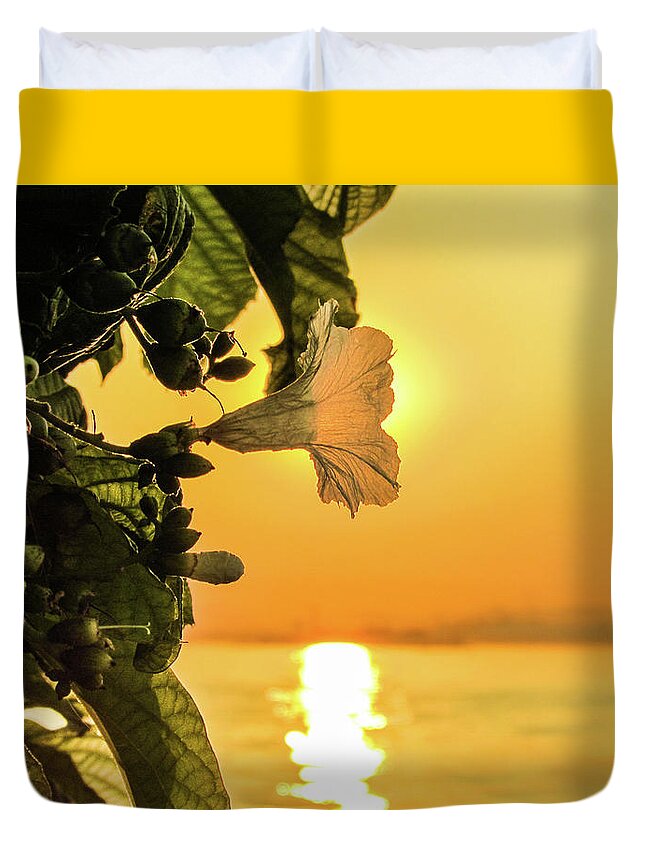 Sunset Duvet Cover featuring the photograph Sunset and Flower by Cesar Vieira