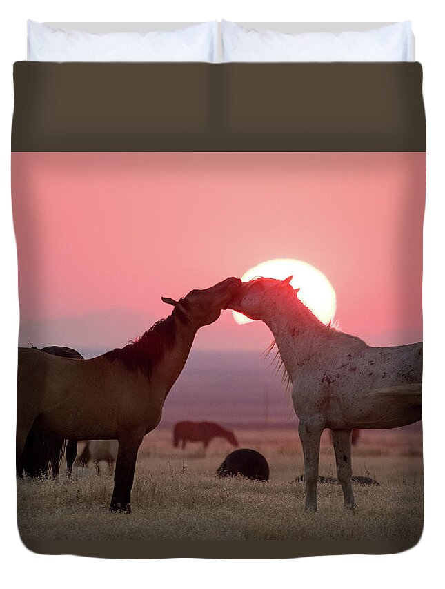 Wild Horses Duvet Cover featuring the photograph Sunset Horses by Wesley Aston
