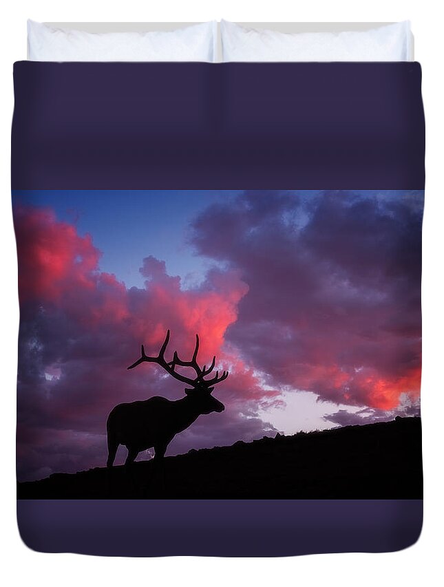 Elk Duvet Cover featuring the photograph Sunset in the Rockies by Darren White
